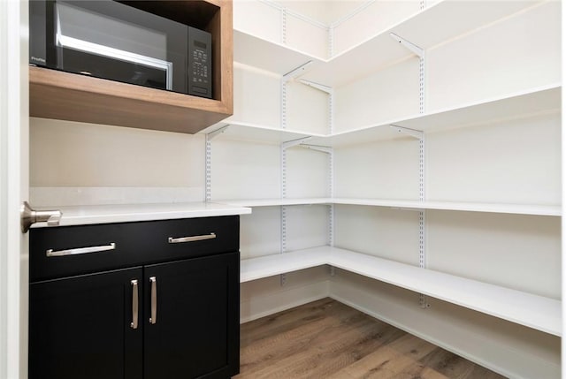 733 17th Ave SE, Altoona, IA 50009 - view of pantry