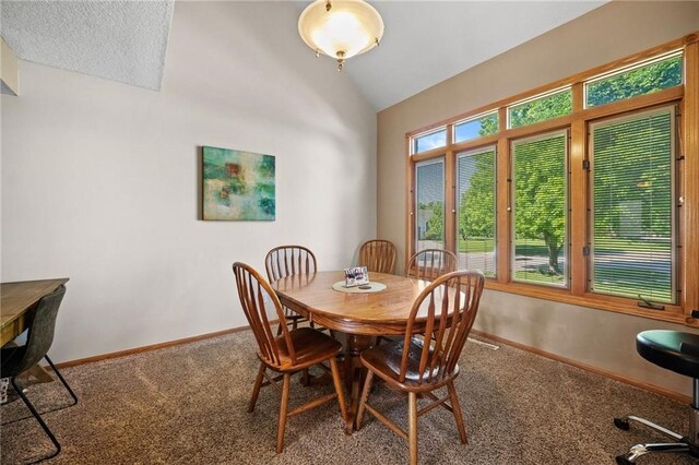 1301 NW Boulder Ridge Ln, Ankeny, IA 50023 - photo 8