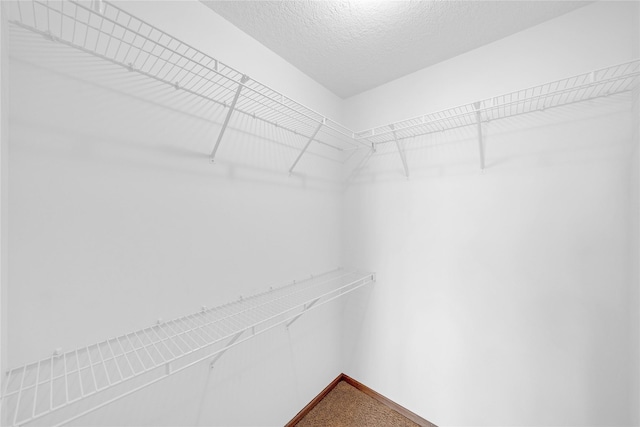 810 NE 5th St, Ankeny, IA 50021 - view of walk in closet