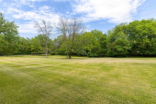 403 S Elm St, Lamoni, IA 50140 - view of green lawn