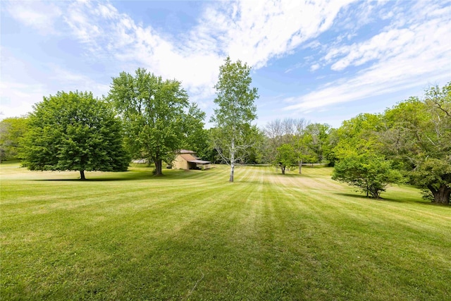 403 S Elm St, Lamoni, IA 50140 - view of grassy yard with view of wooded area