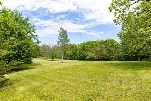 403 S Elm St, Lamoni, IA 50140 - view of grassy yard