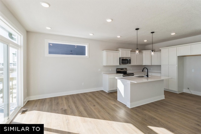4208 NE 5th St, Ankeny, IA 50021 - kitchen featuring stainless steel appliances, plenty of natural light, recessed lighting, a sink, and an island with sink