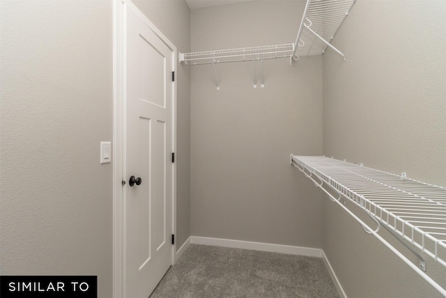 4212 NE 5th St, Ankeny, IA 50021 - walk in closet featuring carpet flooring