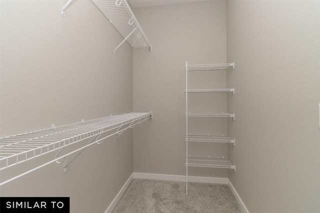 4212 NE 5th St, Ankeny, IA 50021 - walk in closet featuring carpet floors