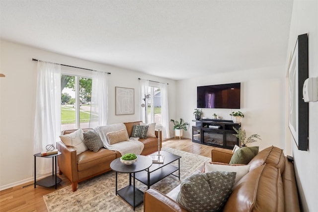 2501 SE 18th Ct, Des Moines, IA 50320 - living room featuring light wood-style floors and baseboards