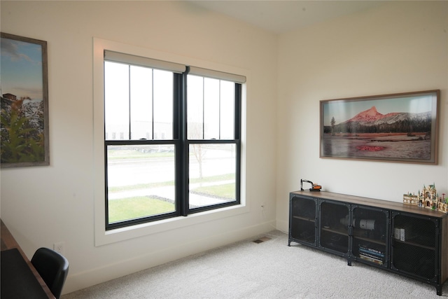 2507 SW Vintage Pkwy, Ankeny, IA 50023 - photo 22