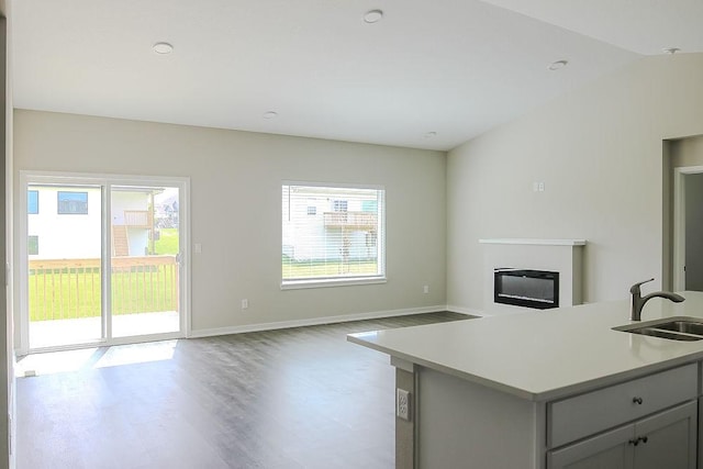 5515 167th St, Urbandale, IA 50323 - kitchen with a sink, wood finished floors, a glass covered fireplace, open floor plan, and light countertops