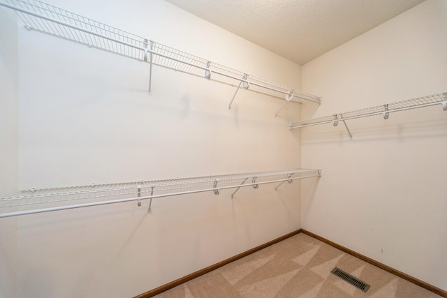 8148 Durham Cir, Johnston, IA 50131 - walk in closet with light carpet