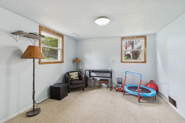 1801 Payton Ave, Des Moines, IA 50315 - sitting room featuring carpet flooring, a textured ceiling, and baseboards