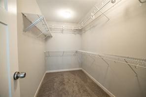 2430 SE Willowbrook Dr, Waukee, IA 50263 - walk in closet featuring carpet flooring