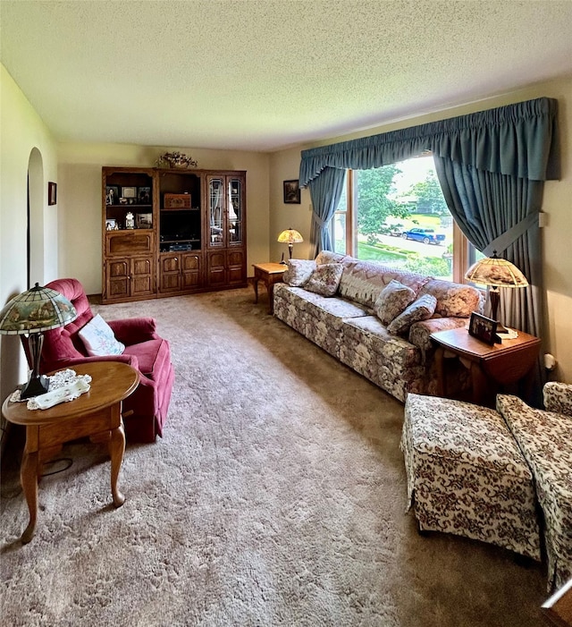 324 E 14th St N, Newton, IA 50208 - living area featuring a textured ceiling, arched walkways, and carpet