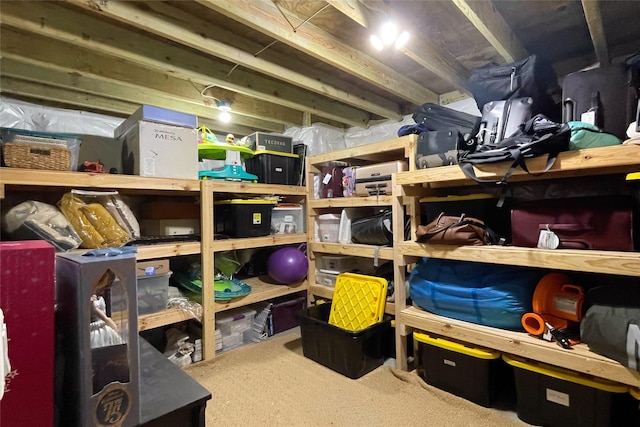 1000 NE 23rd St, Grimes, IA 50111 - view of storage room