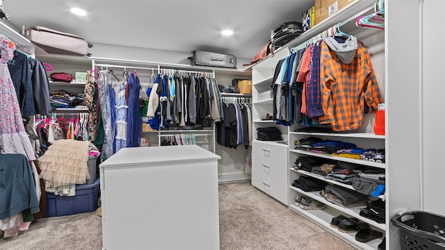 100 Coventry Ct, Clear Lake, IA 50428 - walk in closet with light carpet