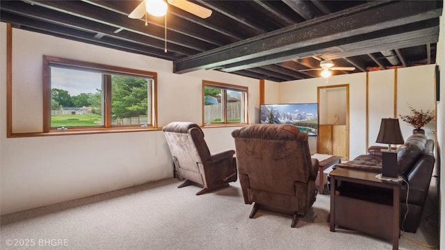 1105 E Henderson Pl, Indianola, IA 50125 - living area with carpet and a ceiling fan