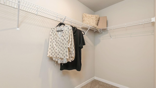 706 E Trail Ridge Pl, Indianola, IA 50125 - photo 14
