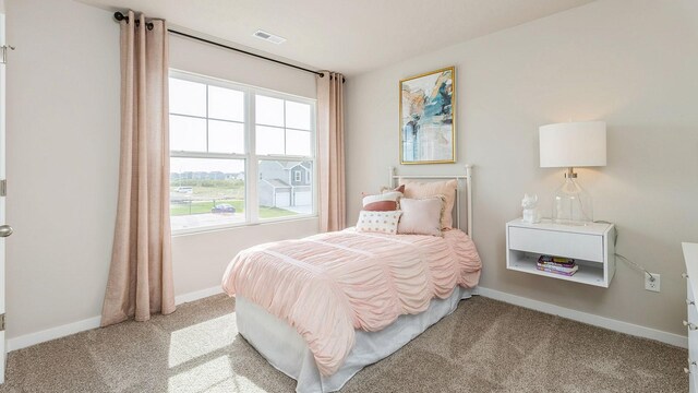 706 E Trail Ridge Pl, Indianola, IA 50125 - photo 16