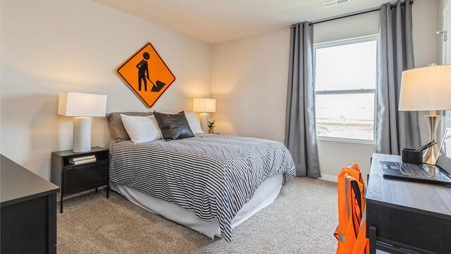 706 E Trail Ridge Pl, Indianola, IA 50125 - photo 19