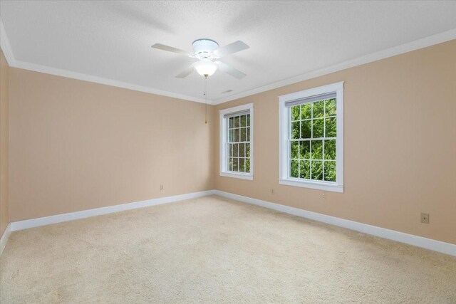 1311 W 2nd St, Pella, IA 50219 - photo 21