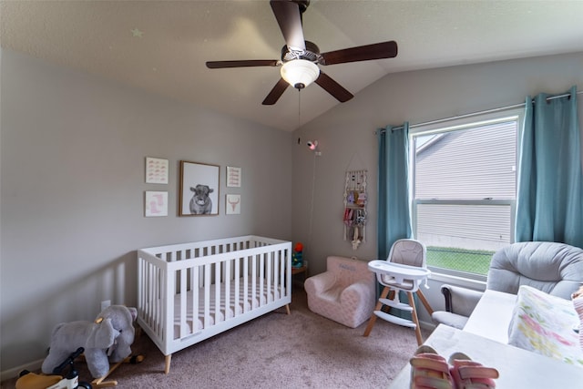 3720 NW Des Moines St, Ankeny, IA 50023 - photo 9