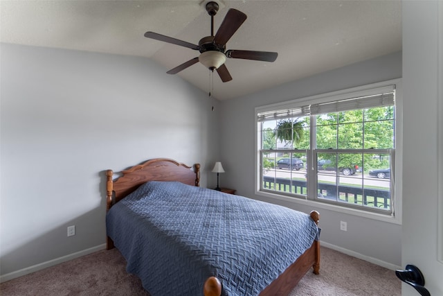 3720 NW Des Moines St, Ankeny, IA 50023 - photo 11