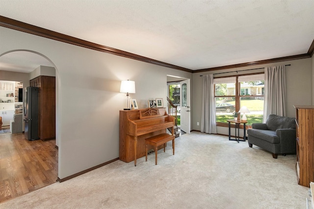 9873 Colby Ave, Clive, IA 50325 - sitting room with crown molding, arched walkways, light carpet, and baseboards