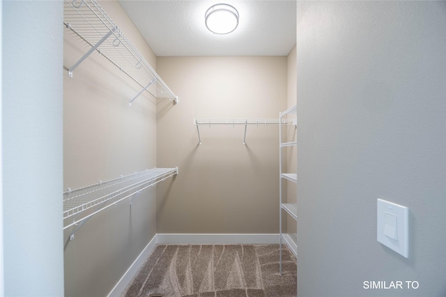 610 Ellis Cir, Adel, IA 50003 - walk in closet with carpet flooring