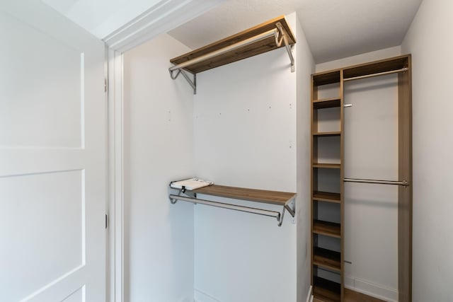 3605 Village Run Dr, Des Moines, IA 50317 - view of walk in closet