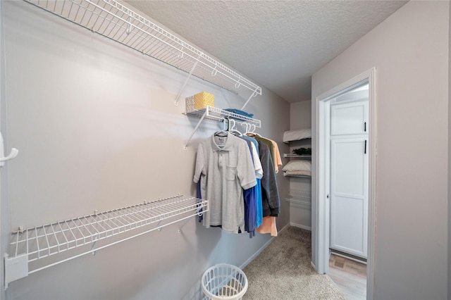 1117 S 52nd St Unit 1707, West Des Moines, IA 50265 - spacious closet featuring carpet