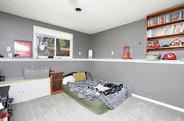 3811 SW 3rd St, Des Moines, IA 50315 - carpeted bedroom with electric panel and baseboards