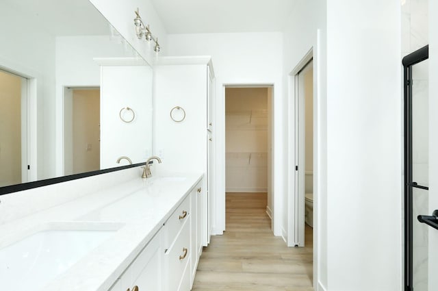 2412 NE 6th St, Grimes, IA 50111 - bathroom with wood finished floors, toilet, double vanity, and a walk in closet
