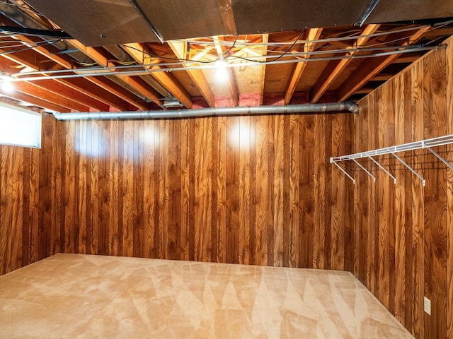 10823 Elmcrest Dr, Clive, IA 50325 - basement with wooden walls and carpet flooring
