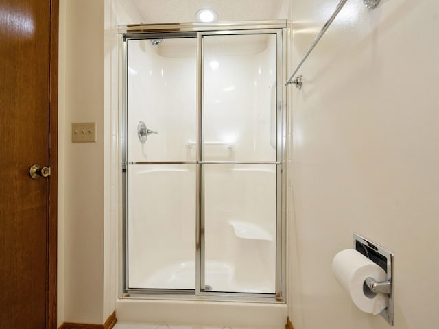 10823 Elmcrest Dr, Clive, IA 50325 - full bath with a stall shower