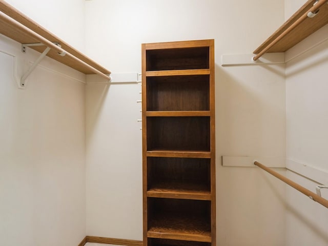 10823 Elmcrest Dr, Clive, IA 50325 - view of walk in closet