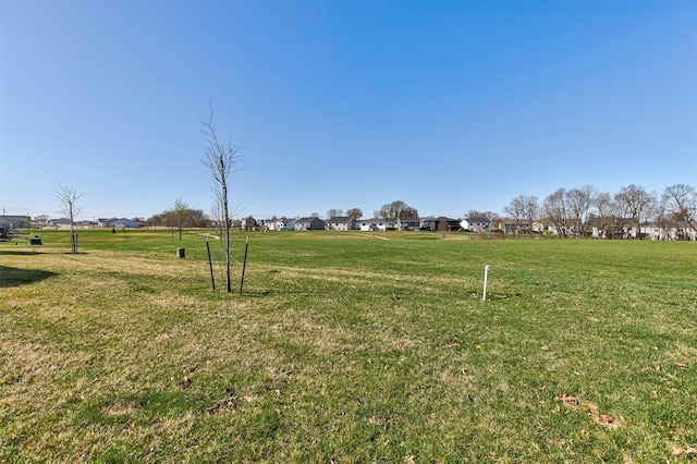 6744 NE 12th Ct, Des Moines, IA 50313 - view of grassy yard featuring a residential view