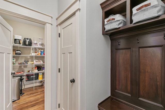 460 NE Bowman Dr, Waukee, IA 50263 - mudroom with light wood-style floors