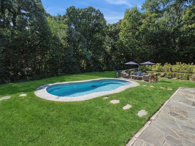 11576 NW Timberbrooke Ln, Grimes, IA 50111 - swimming pool with an outdoor hangout area, a lawn, and a patio