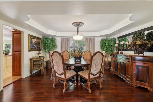14091 Willow Dr, Clive, IA 50325 - dining space featuring a raised ceiling, dark wood-style flooring, and healthy amount of natural light
