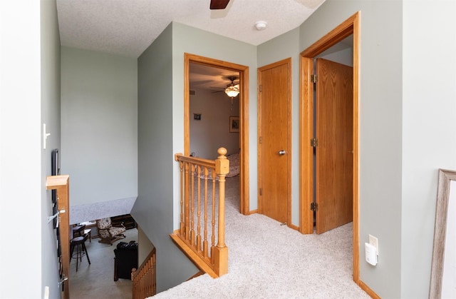 4839 Ashley Park Dr, West Des Moines, IA 50265 - photo 17