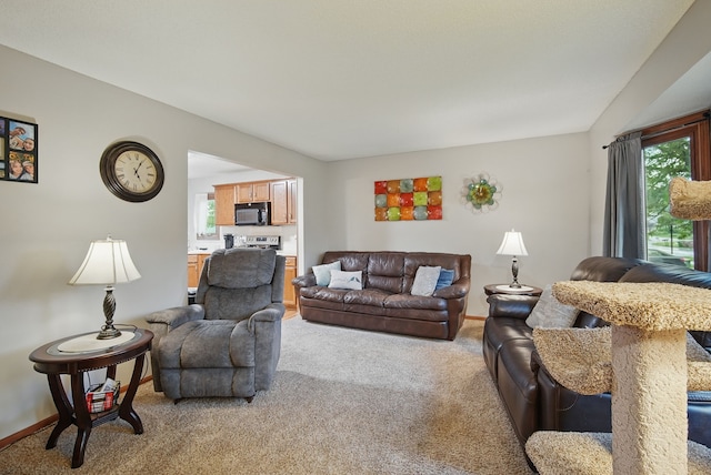 1290 S 4th St, Carlisle, IA 50047 - living room with light carpet and baseboards