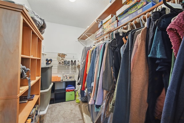 1290 S 4th St, Carlisle, IA 50047 - spacious closet with carpet floors