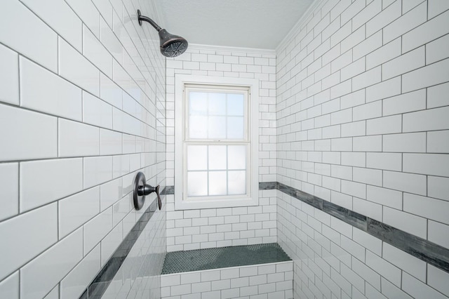 4005 Beaver Ave, Des Moines, IA 50310 - full bathroom featuring a tile shower