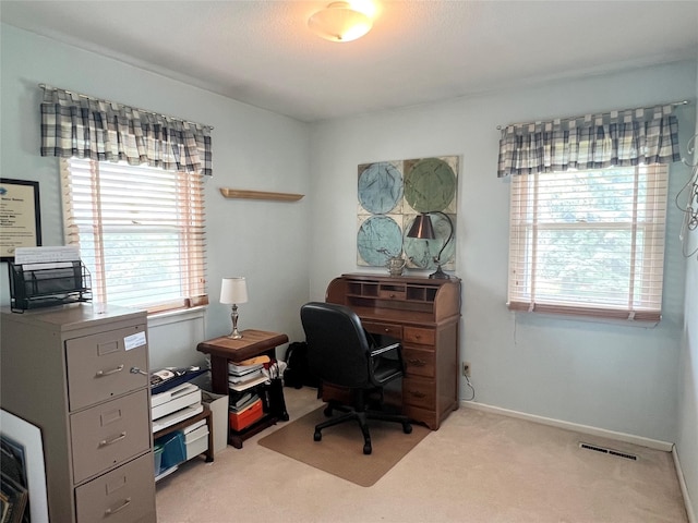 313 E 29th St S, Newton, IA 50208 - office with healthy amount of natural light and carpet floors