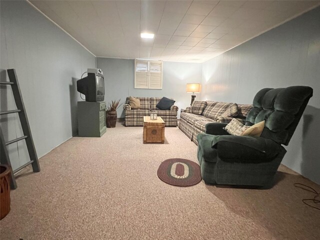 313 E 29th St S, Newton, IA 50208 - view of carpeted living area