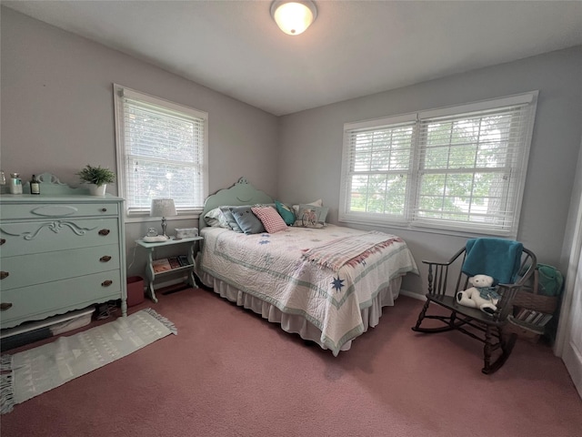 313 E 29th St S, Newton, IA 50208 - view of carpeted bedroom