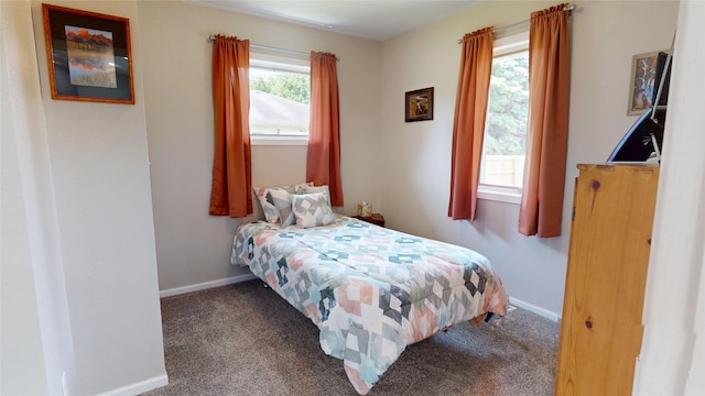 416 S Park St, Stuart, IA 50250 - carpeted bedroom with baseboards