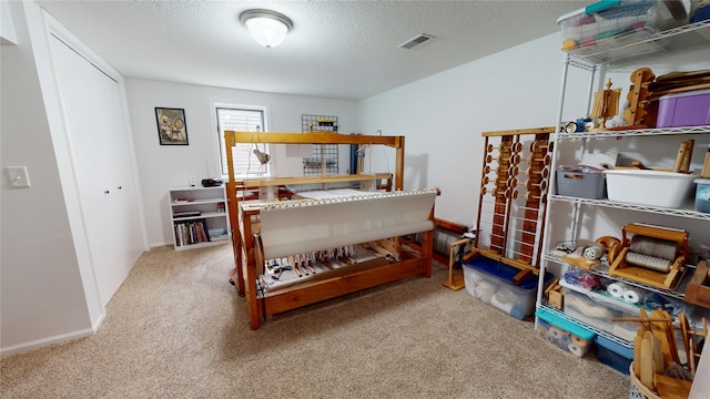 416 S Park St, Stuart, IA 50250 - bedroom with carpet, a textured ceiling, and baseboards