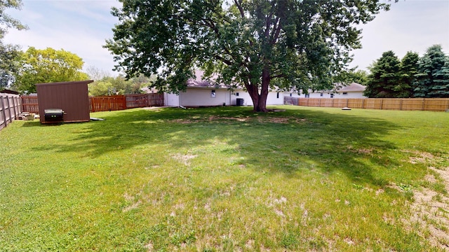 416 S Park St, Stuart, IA 50250 - view of yard
