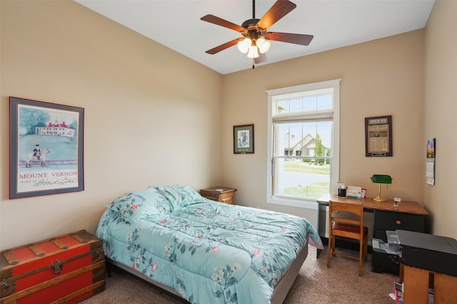 4014 NE Bellagio Cir, Ankeny, IA 50021 - bedroom featuring carpet and a ceiling fan