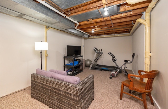 6196 Terrace Dr Unit 2, Johnston, IA 50131 - workout room with carpet floors